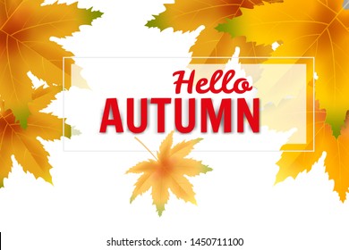Banner autumn falling leaves template background. Yellow and brown colorful foliage. Banners, flyers, presentations. Vector illustration