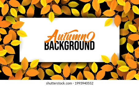 Banner with autumn leaf in forest. Foliage Fallen leaves, orange, yellow, red foliage. Border for fall season poster.