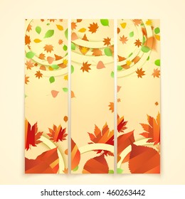 Banner with autumn leaves
