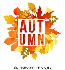 banner with autumn leaves and type design