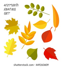 banner with autumn leaves and type design. vector illustration.