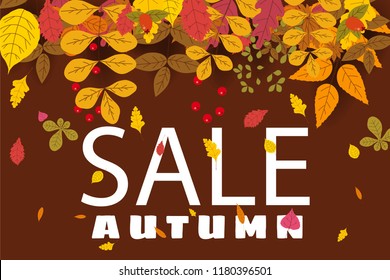 Banner for Autumn Sale, background with falling leaves, yellow, orange, brown, fall, lettering, template for poster, banner, vector, isolated