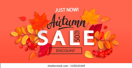 Banner For Autumn Sale With Colorful Seasonal Fall Leaves And Rowan For Shopping Discount Promotion. Vector Illustration.