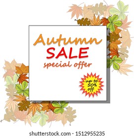 Banner for autumn sale. Floral elements of autumn leaves. Vector illustration on white background.