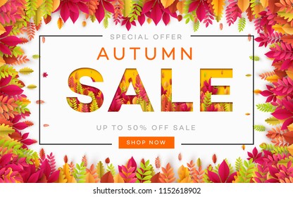 Banner for autumn sale in frame from leaves. Vector illustration EPS10