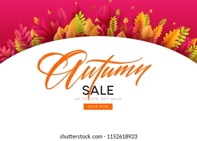 Banner for autumn sale in frame from leaves. Vector illustration EPS10