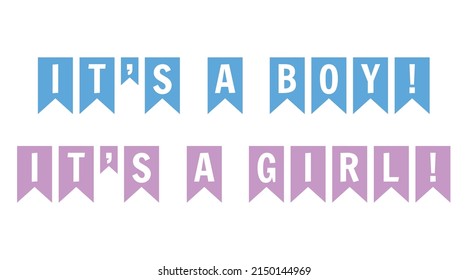 Banner baby shower. Blue and pink holiday flags