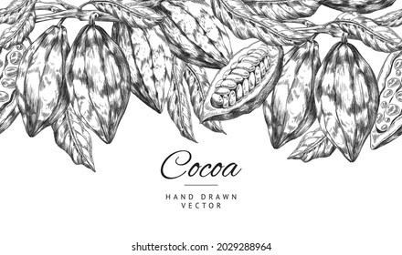 Diseño de fondo de banner con granos de cacao en estilo dibujado a mano grabado en grabado, ilustración vectorial. Fondo monocromo de la cosecha con plantas botánicas de cacao detalladas