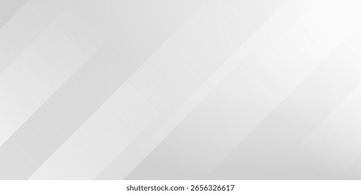 banner background gray and white gradations bright color with skash shapes.modern background.vector.
