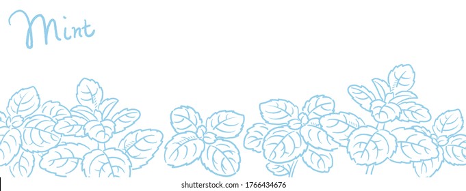 Banner or background with mint leaves. Vector illustration.