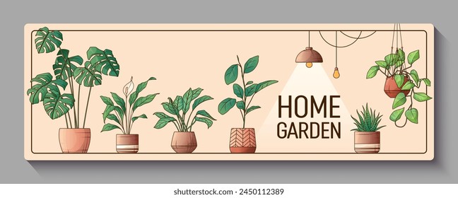 fondo de Anuncio con Ilustración vectorial de plantas de interior de monstera, haworth, aglaonema. Para diseño de póster, Anuncio promocional y decoración de volantes. Interior, floristería, concepto de jardín casero.