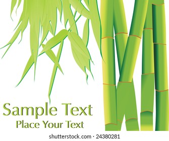 pancarta de bambú con hoja aislada en papel blanco