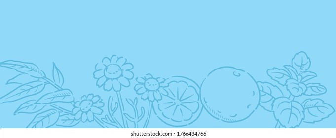 Banner Or Bancground. Popular Essential Oil Plants. Vector Illustration.