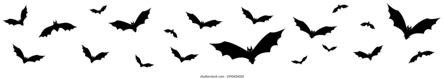 Banner with bats on white background