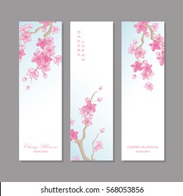 Banner beautiful pink sakura or cherry blossom branch with flowers drawn in japanese style. vector illustration design.