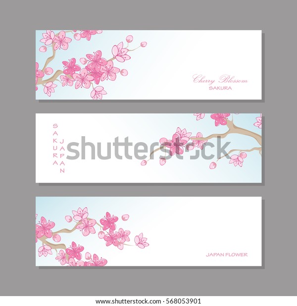 Banner Beautiful Pink Sakura Cherry Blossom Stock Vector (Royalty Free ...