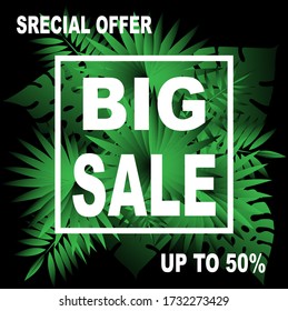 
Banner big sale with frame, green leaves of palm trees on a black background. Design template for print or web. Vector magic illustration.