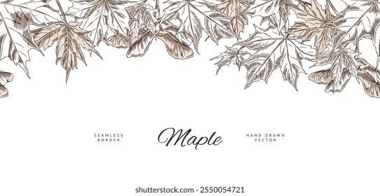 Banner with black and white seamless sketch top border of maple leaves and seeds. Hand drawn vector illustration. Environment. Black and white texture for web sites. Engraved style. Place for text.