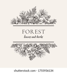 Banner with bouquet with leaves and herbs. Vector illustration. Black and white. 