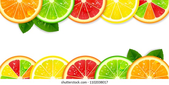 banner with bright citrus fruits on a white background