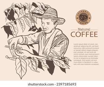 Banner and brochure template of coffee tree and farmer on sketch ink drawing for label packaging, sticker, poster, promotion, banner, t-shirt, tote bag, stamp.