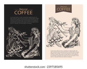 Banner and brochure template of coffee tree and farmer on sketch ink drawing for label packaging, sticker, poster, promotion, banner, t-shirt, tote bag, stamp.