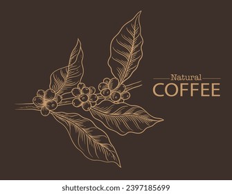 Banner and brochure template of coffee tree and farmer on sketch ink drawing for label packaging, sticker, poster, promotion, banner, t-shirt, tote bag, stamp.