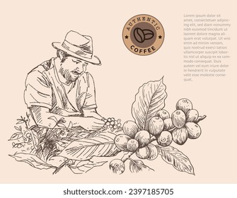 Plantilla de pancarta y folletos de árbol de café y granjero en el dibujo de la tinta de boceto para el embalaje de etiquetas, pegatinas, afiches, promoción, pancarta, camiseta, bolso de tote, sello.