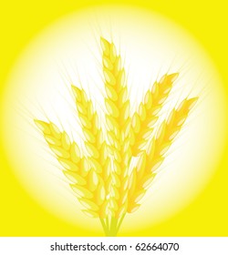 Banner of a bunch of ears of wheat on a yellow background