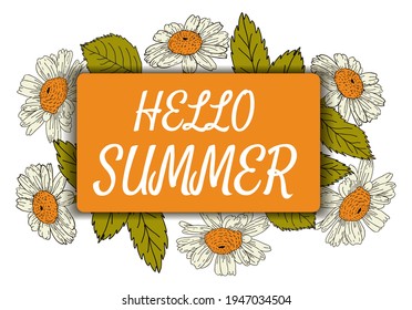 Banner with camomiles. Hello summer, text. Poster, greeting. Floral wreath with daisy flowers.  frame. Stock vector illustration, isolated on white background.