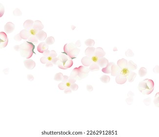 Flores De Banner Y Cerezo Y Fondo Blanco Con Malla Gradiente, Ilustración Vectorial