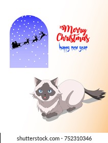 Banner. Christmas winter card with cute and Santa Claus shadow in the window 