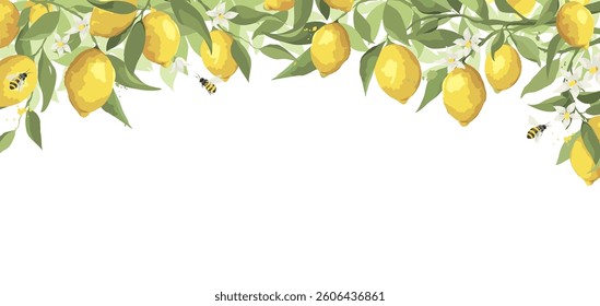 Banner with citrus branch, flowers, and bees. Background, vector illustration for summer time. Free hand drawing.	