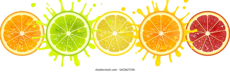 banner with citrus fruits on a white background