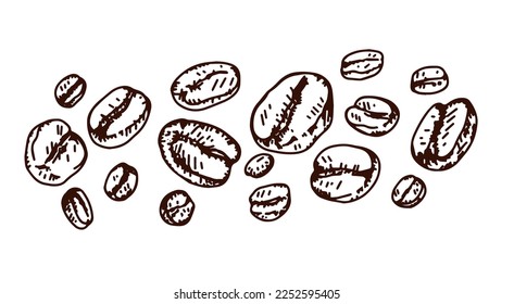 Banner coffee beans drawn. White background. Illustration