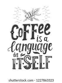 Banner with Coffee quotes . Vector hand-drawn lettering . Decoration for restaurant and bar. Calligraphic and typographic design. Coffee plant.