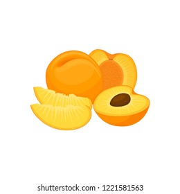 Banner with a composition of apricots. Whole, half and apricot slice. vector still life of fruit.