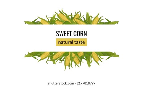 Banner with corn on the cob. Organic food, natural sweet corn horizontal frame