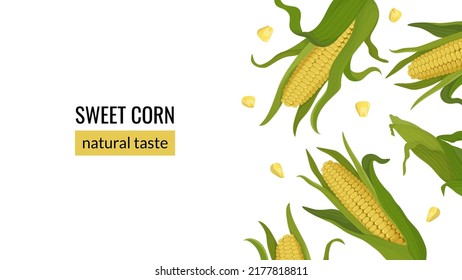 Banner with corn on the cob. Organic food, natural sweet corn