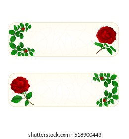 Banner cracks in the porcelain and rose vintage background vector illustration