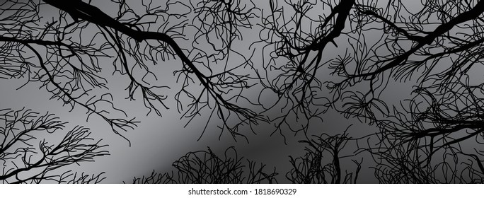 Banner of creepy deep forest with upward night sky view in monochrome tone