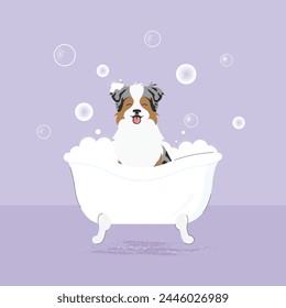The banner of cute dog with bubbles in kawaii, flat vector style. Illustation of pet grooming for content, label, banner,graphic and greeting card. Aussie. Australian shepherd. Border collie.