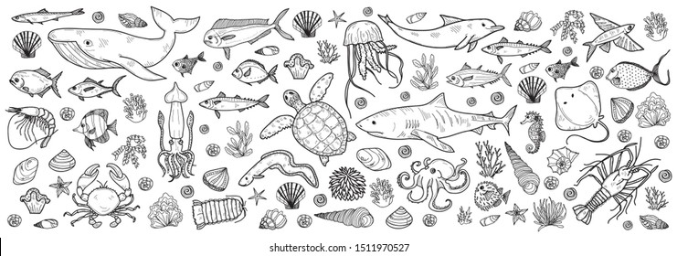 Banner with cute hand drawn marine animals, fish and shells. Vector illustration.  May use as coloring page. 
