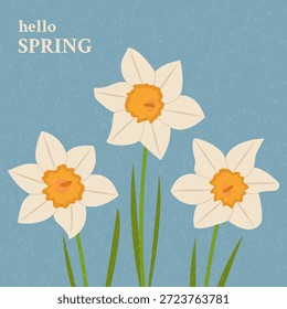 Anuncio con narcisos hola primavera. Afiche de flores florecientes. Ilustración plana de Vector.