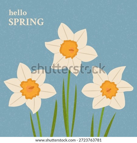 Banner with daffodils hello spring. Blooming flowers poster. Vector flat illustration.