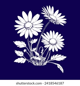 Banner with daisies hand-drawn vector image without AI