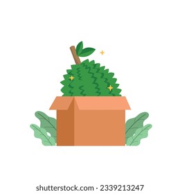Banner of delivery durian and fruits, Durian in the carton box, marketing of durian.