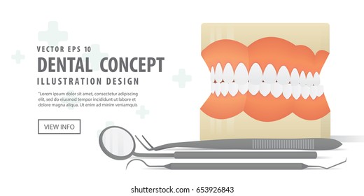 Banner Dentures model and Equipment dental illustration vector on white background. Dental concept.
