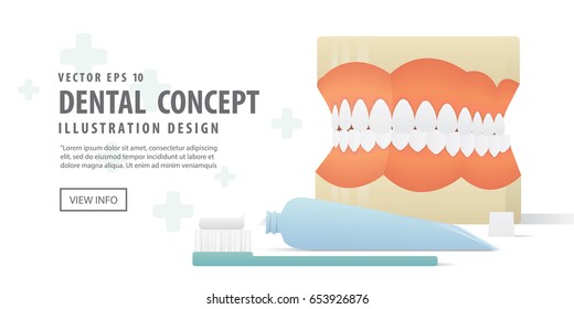 Banner Dentures model and Tooth brush and toothpaste illustration vector on white background. Dental concept.