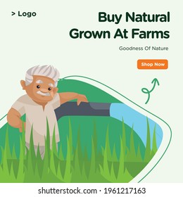 Banner design of buy natural grown at farms template. Vector graphic illustration.